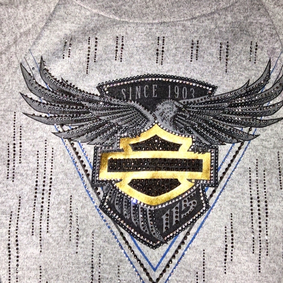 Harley-Davidson Sweaters - Harley-Davidson 115 Anniversary Collectors Edition Women's Hoodie Size Large